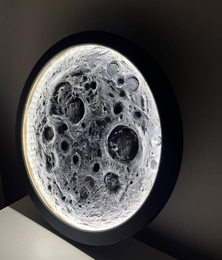 photo_2_2026-02-19_00-02-22