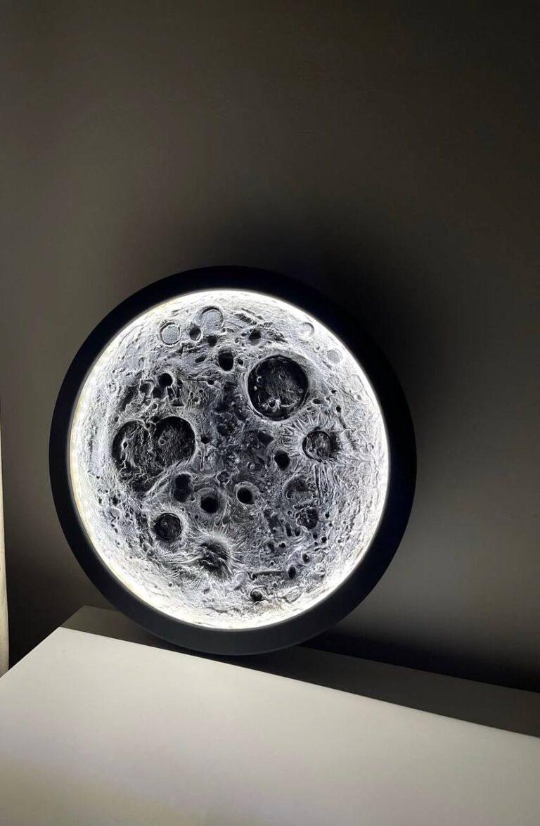 photo_3_2026-02-19_00-02-22